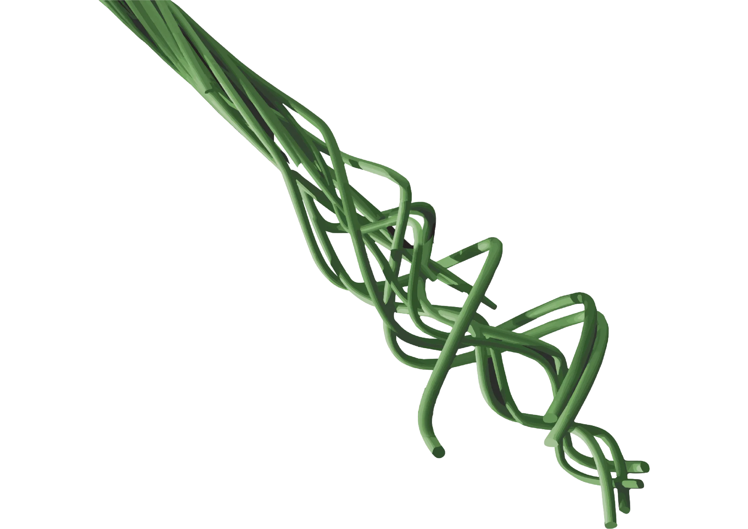 DPX® regenerative fiber, fiber diagram